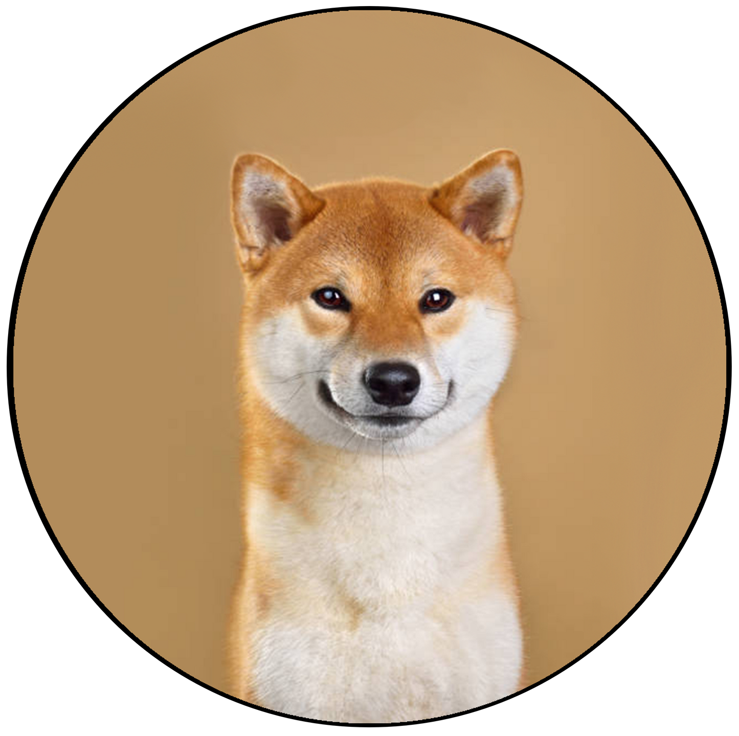 Shiba Inu Cake Topper