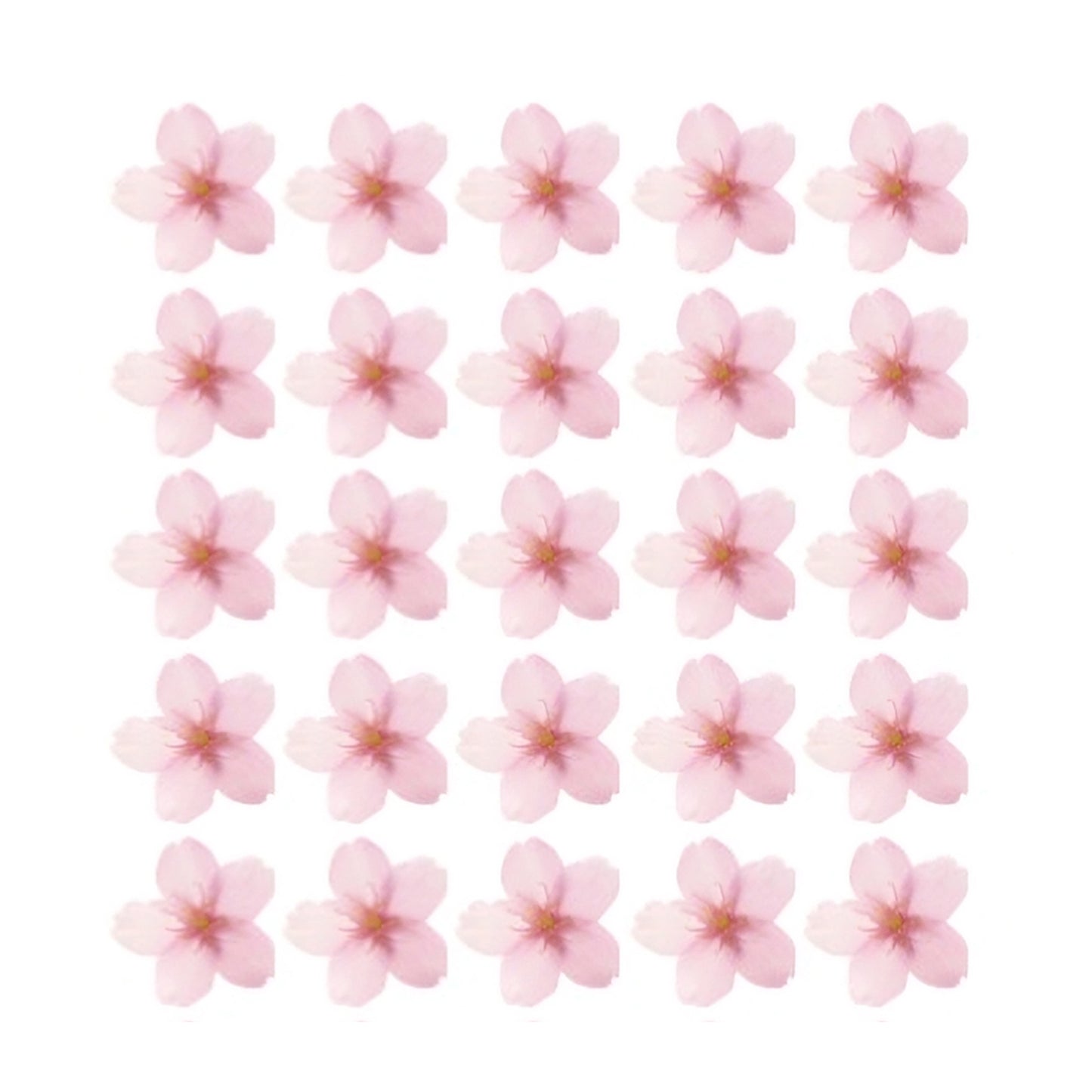 Pretty pink cherry blossoms Flowers edible wafer or icing cake cupcake japan spring