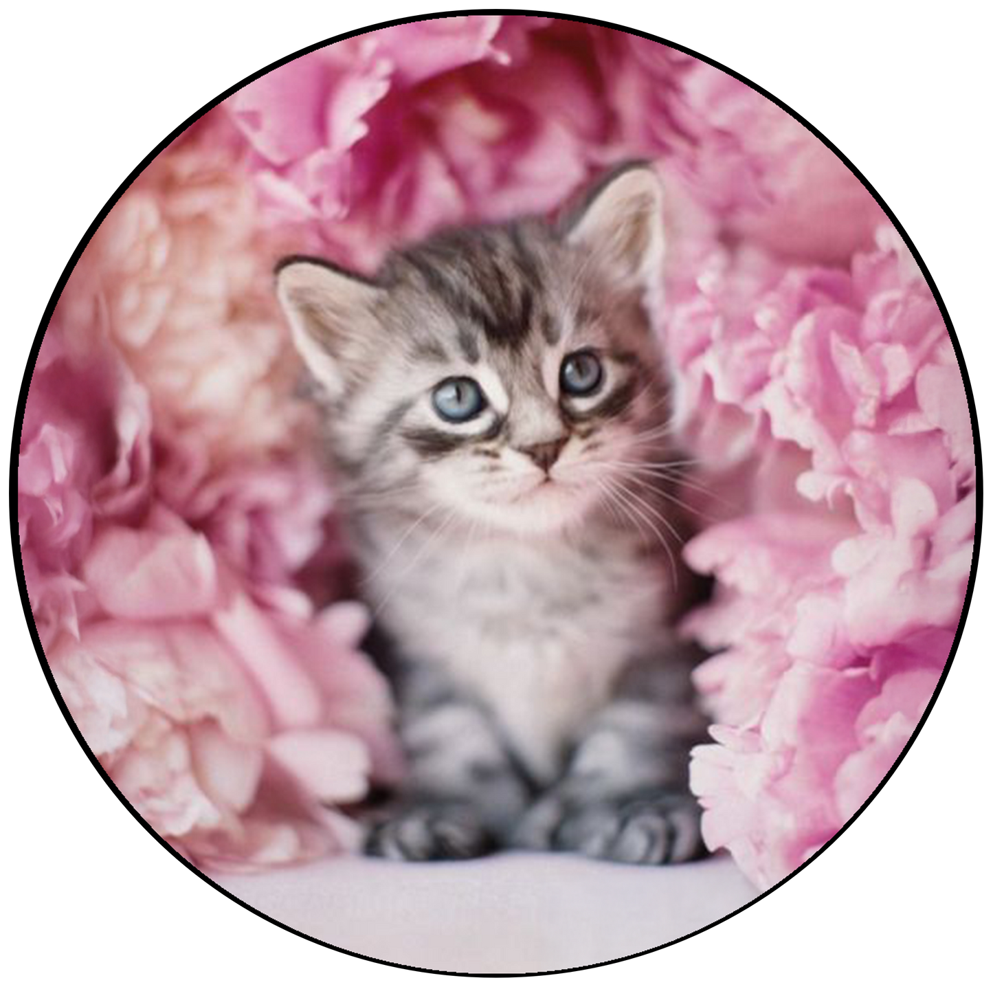 Cute Kitten & Flowers Cake Topper