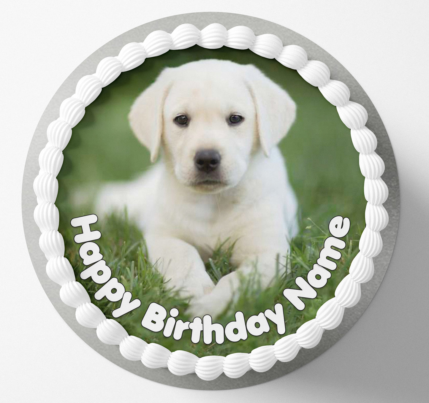 Cute labrador puppy edible cake topper wafer icing cake decorating