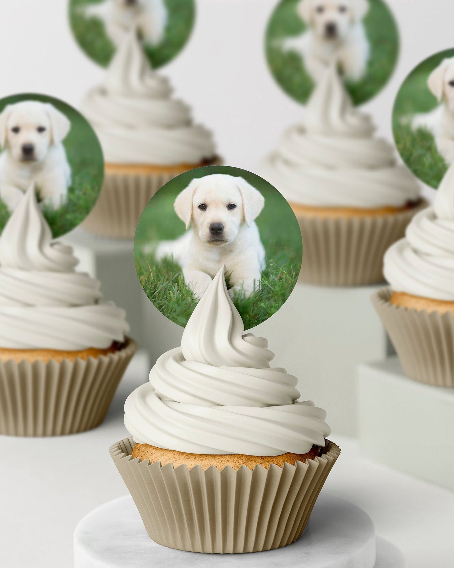 edible wafer icing cupcake toppers labrador puppy