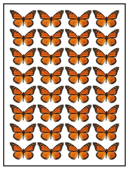 Orange Monarch Wafer Butterflies