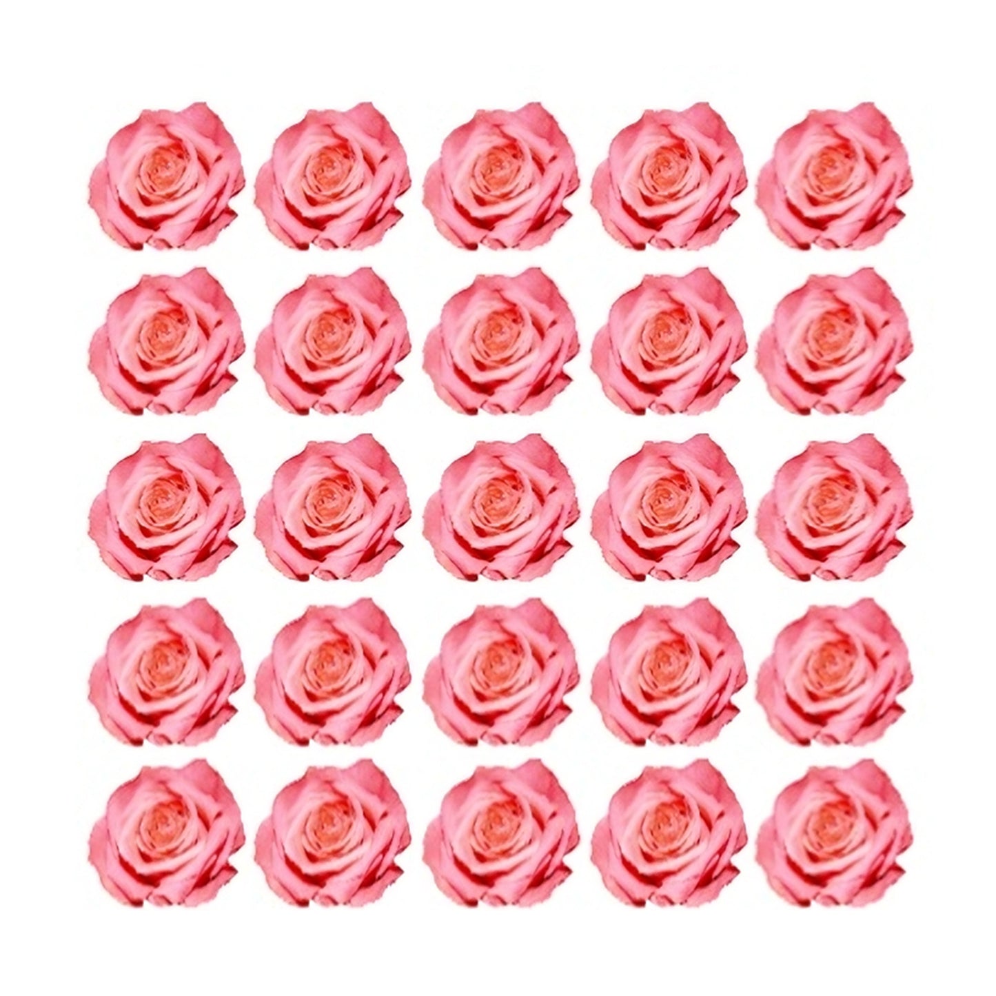 Pretty pink roses Flowers edible wafer or icing cake cupcake valentines