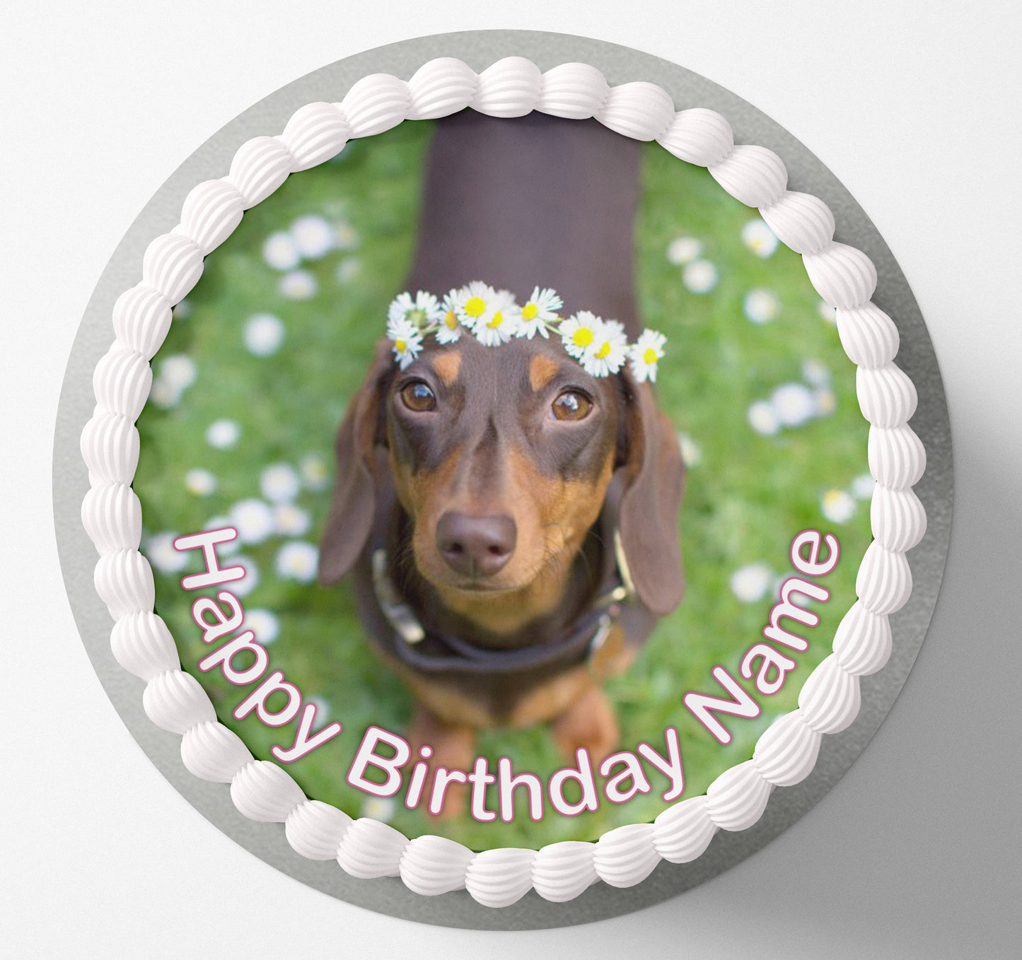 Daschund sausage dog edible cake topper wafer icing cake decorating