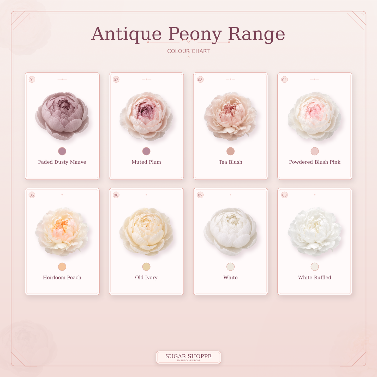 Faded Dusty Mauve Peony Flowers