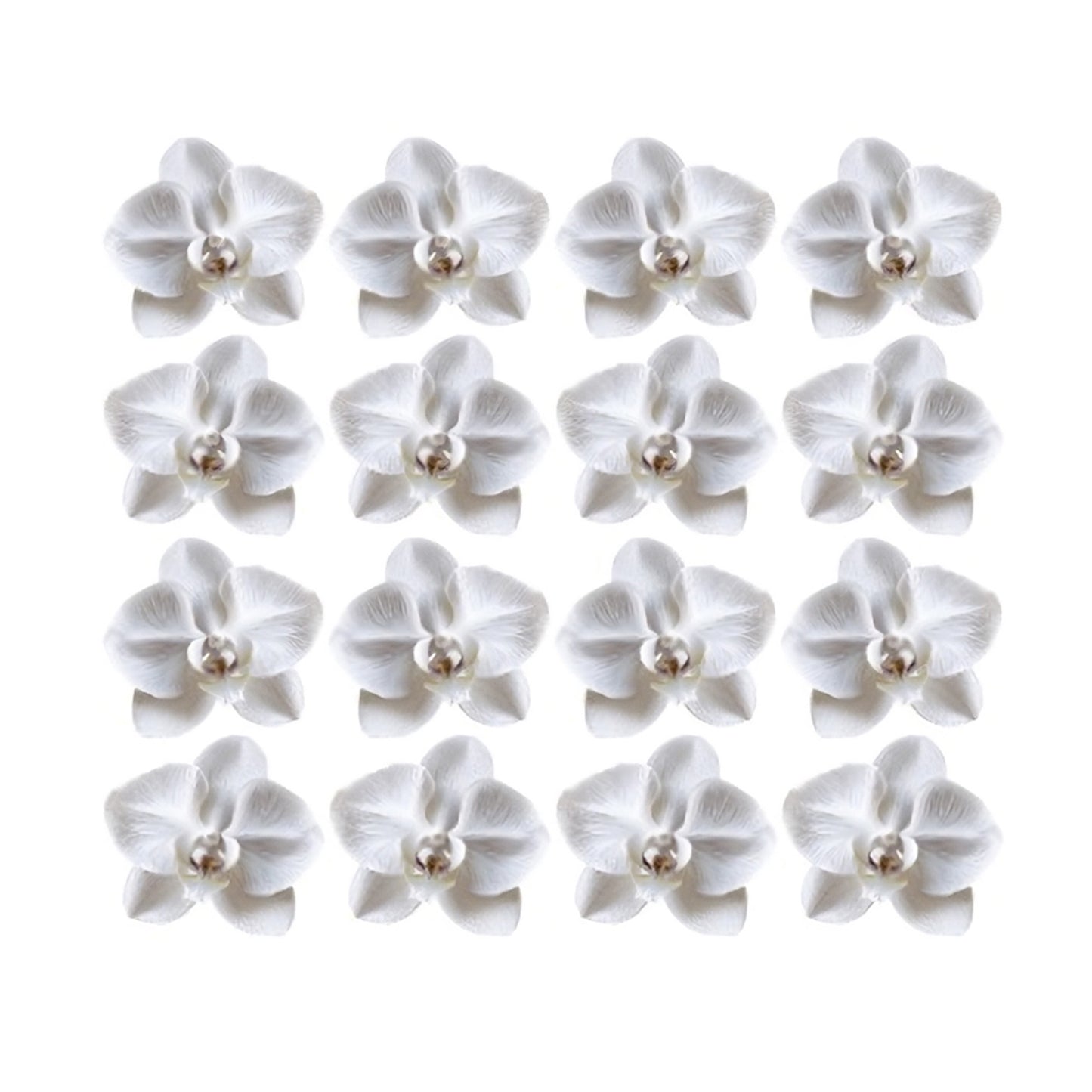 Pretty white Orchid Flowers edible wafer or icing cake cupcake wedding