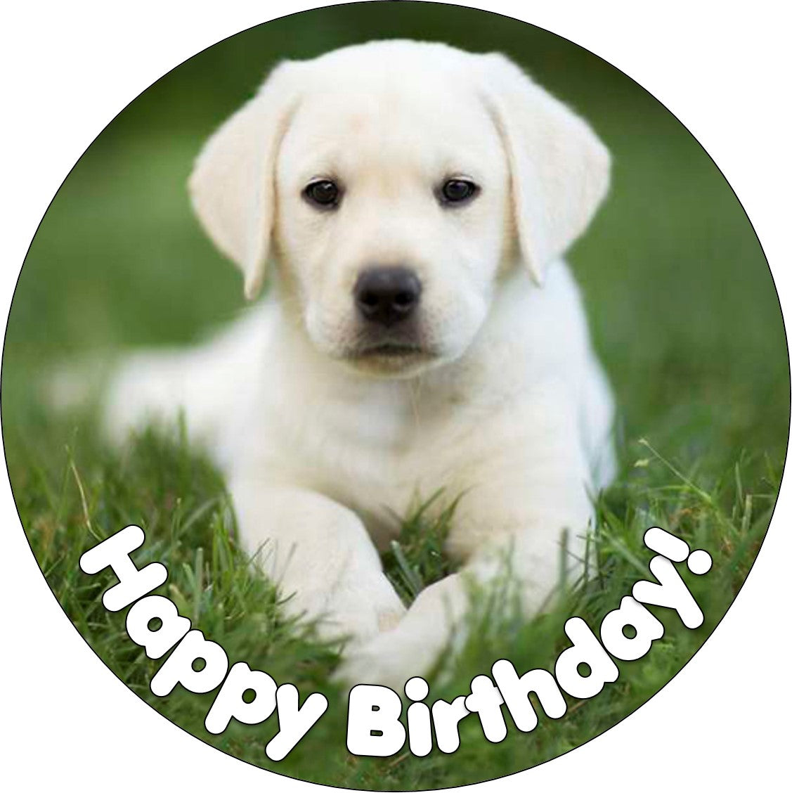 Labrador Cake Topper