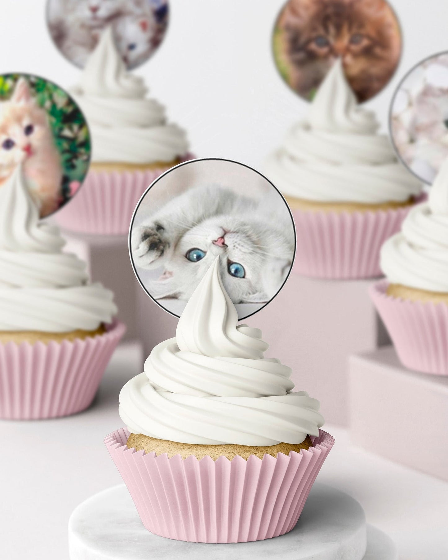 edible wafer icing cupcake toppers cute kittens cats