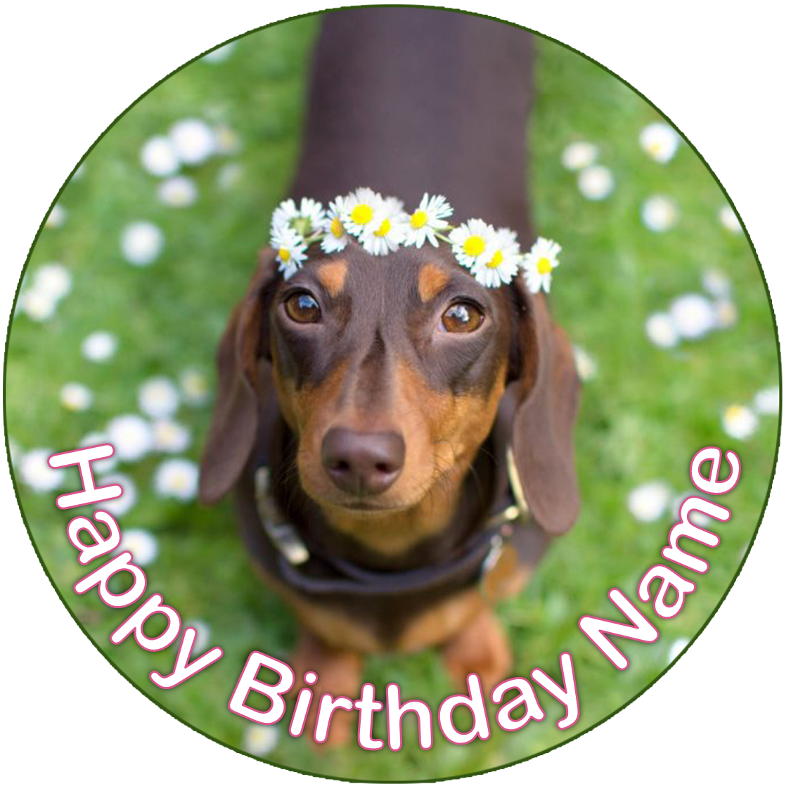 Dachshund Sausage Dog Cake Topper