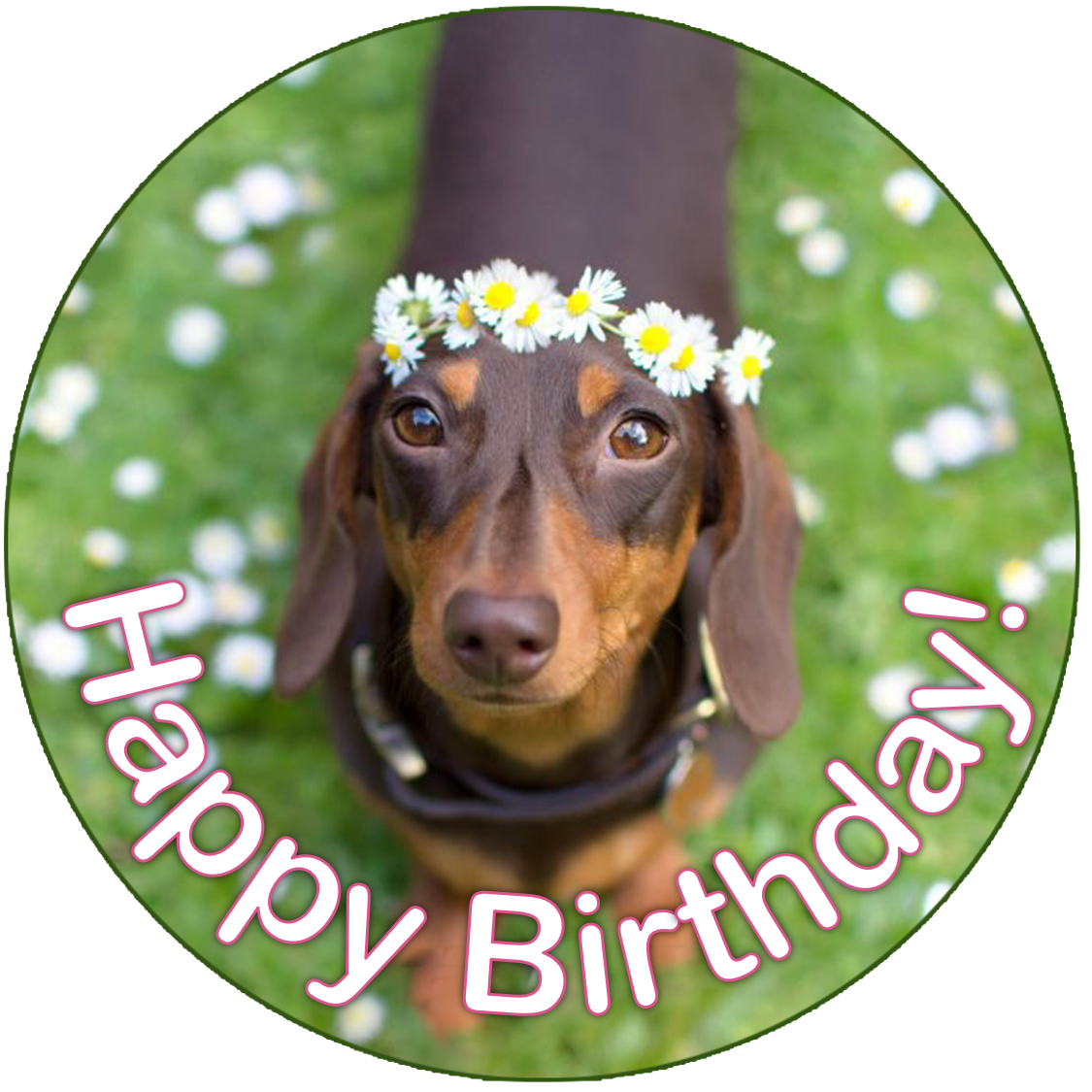 Dachshund Sausage Dog Cake Topper