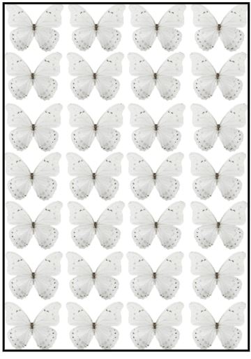 White Wafer Butterflies