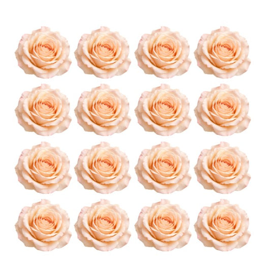 Romantic Antique peach Tea roses Flowers edible wafer or icing cake cupcake great for High teas Weddings Birthdays
