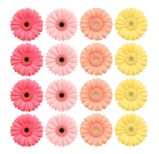 Edible wafer or icing daisy flowers Bright Gerbera Mix cake decorations edible cake toppers hot pink, pink, orange, yellow mix