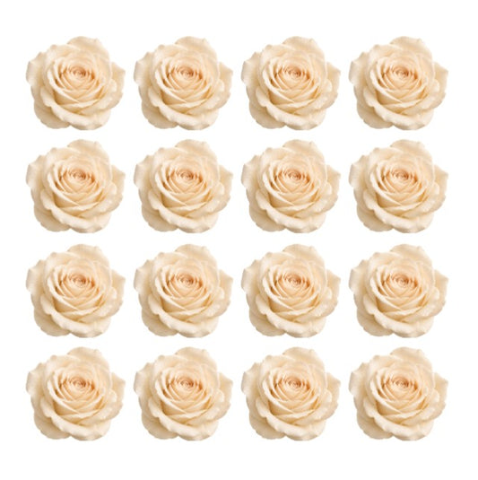 Off-White Cream Champagne Ivory Wedding roses Flowers edible wafer or icing cake cupcake great for Weddings High Teas  Birthdays