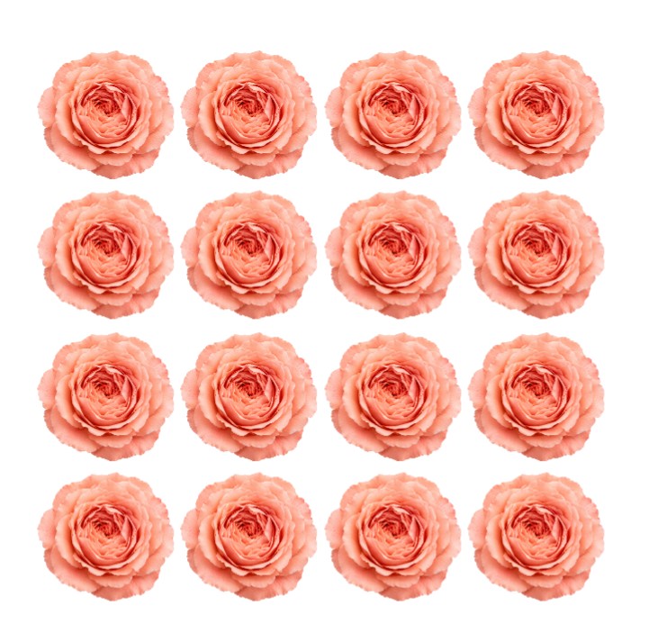 Coral Garden roses Flowers edible wafer or icing cake cupcake great for High teas Weddings Birthdays