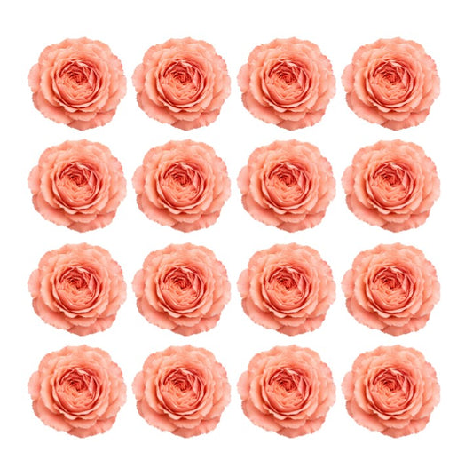 Coral Garden roses Flowers edible wafer or icing cake cupcake great for High teas Weddings Birthdays
