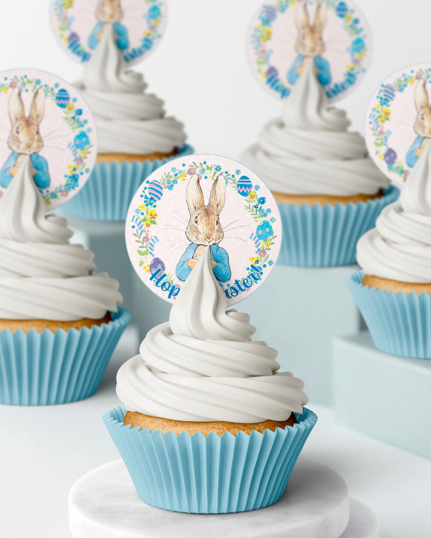 Easter themed Peter Rabbit Bunny  edible wafer icing cake toppers