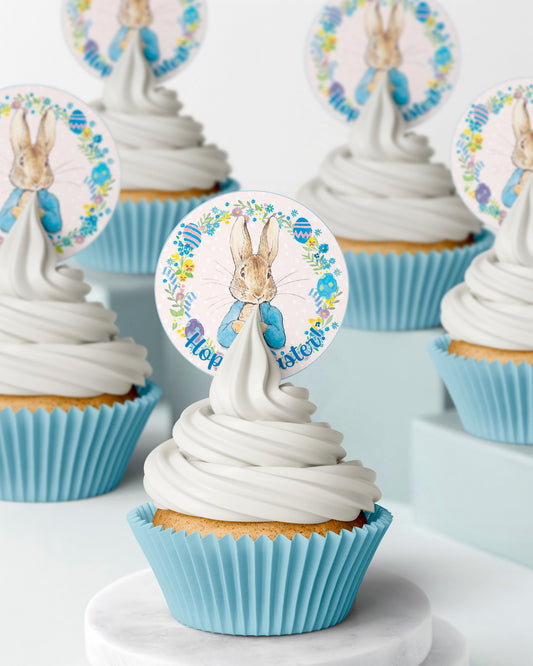 Easter themed Peter Rabbit Bunny  edible wafer icing cake toppers