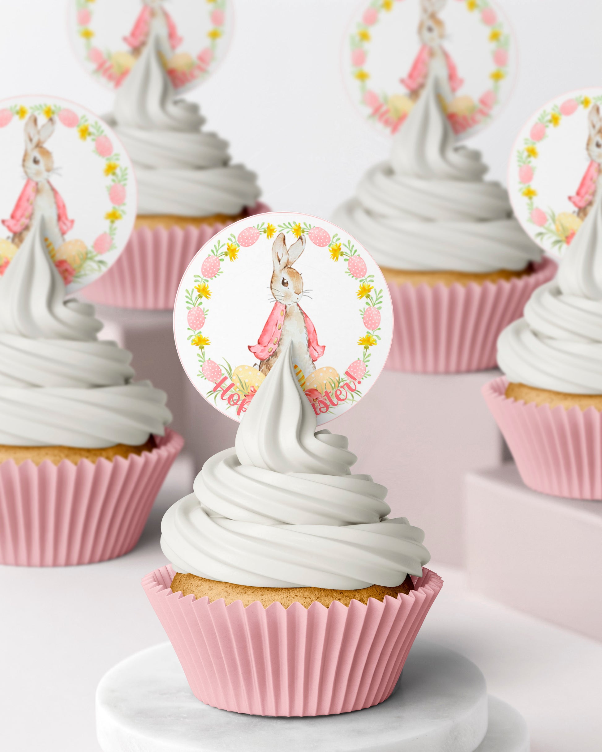 Easter themed Peter Rabbit Bunny Pink edible wafer icing cake toppers
