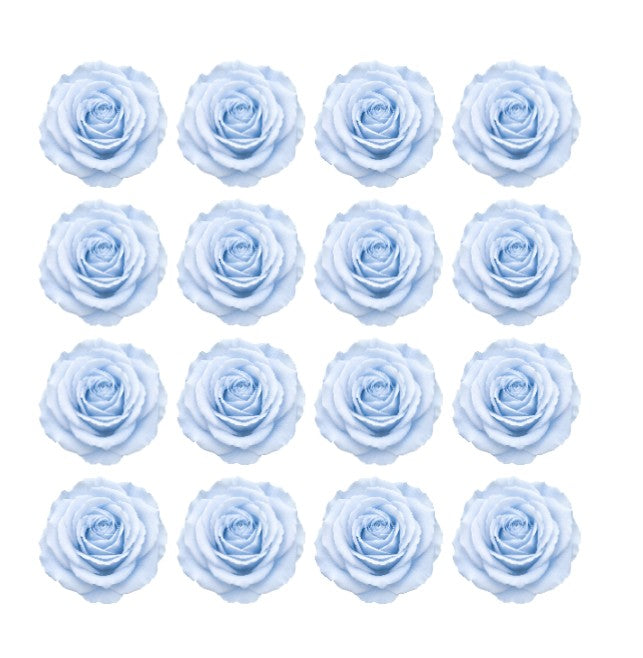  pastel blue roses Flowers edible wafer or icing cake cupcake great for  Weddings Birthdays Frozen Theme