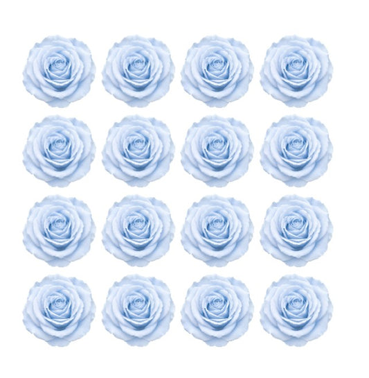  pastel blue roses Flowers edible wafer or icing cake cupcake great for  Weddings Birthdays Frozen Theme