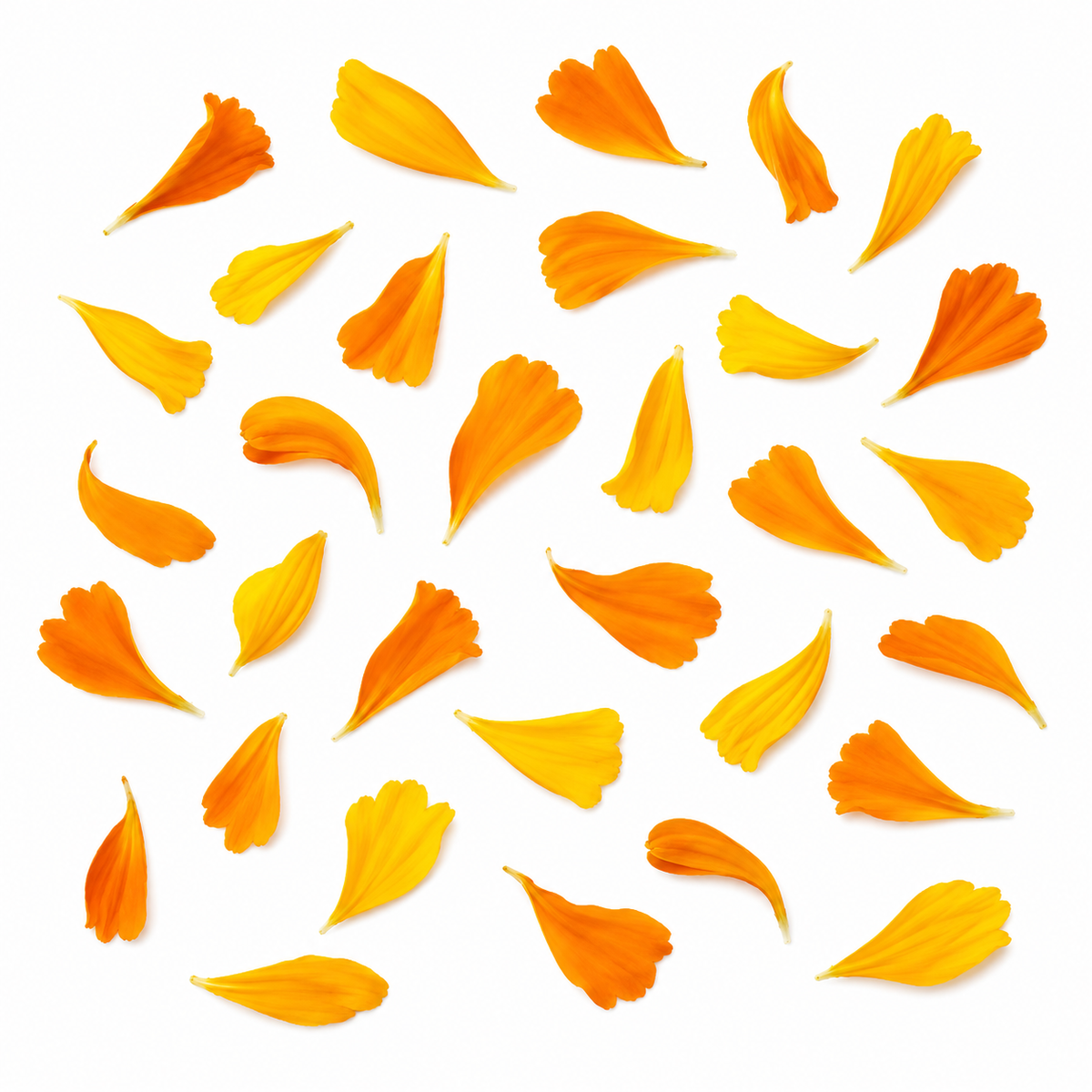 Marigold Mix Flowers