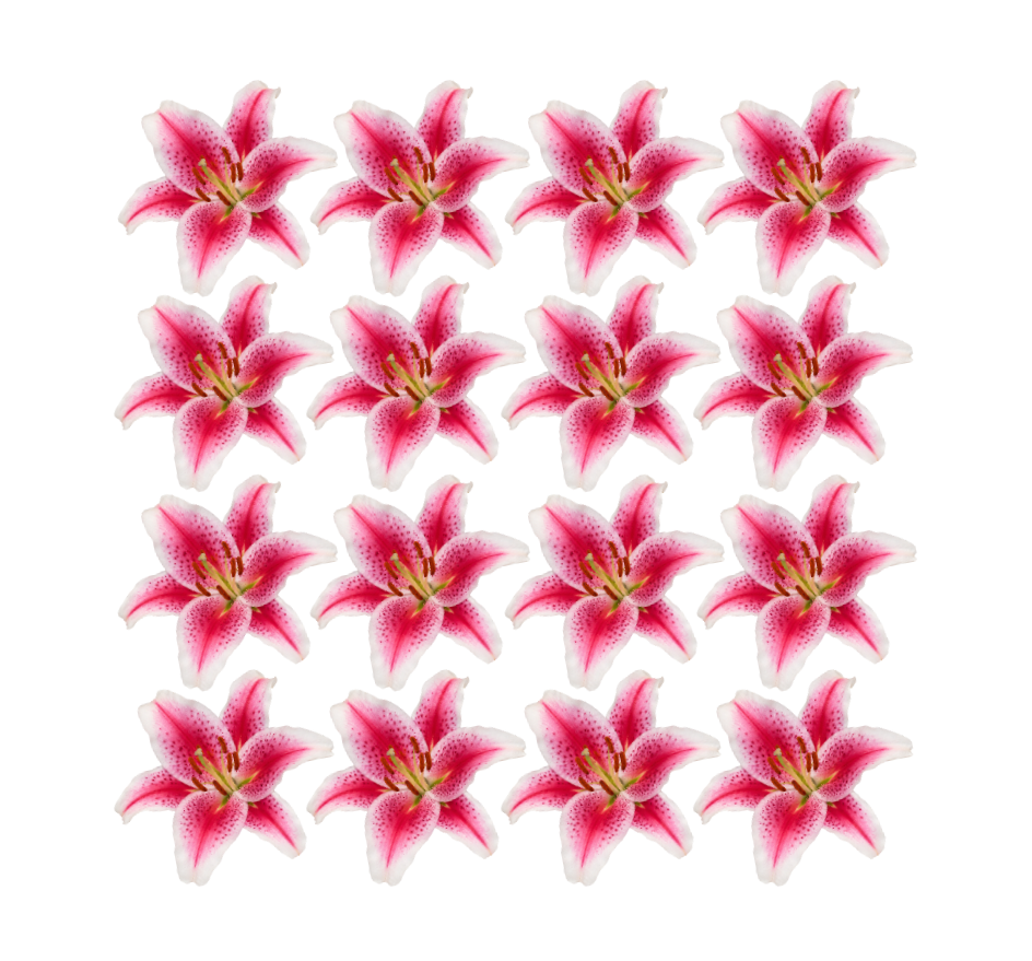 Pretty pink tiger Lily Flowers edible wafer or icing cake cupcake tropical exotic