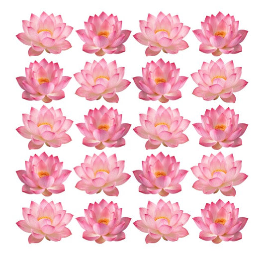Elegant pink water Lily Lotus Flowers edible wafer or icing cake cupcake decorations lunar new year oriental