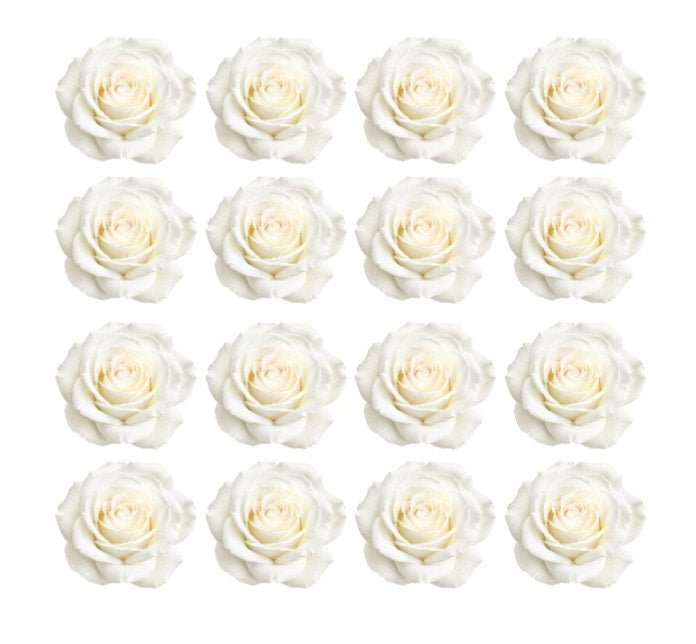 White Wedding roses Flowers edible wafer or icing cake cupcake great for valentines Wedding Birthday