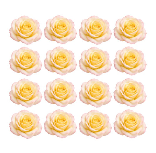 Yellow Blush Peace roses Flowers edible wafer or icing cake cupcake great for High teas Weddings Birthdays