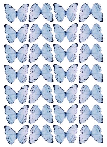 Blue Wafer Butterflies