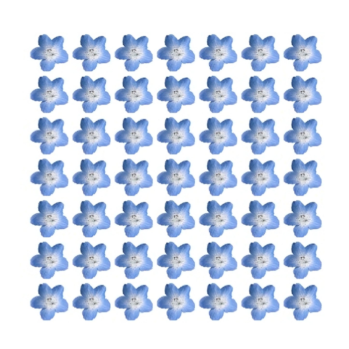 Pretty blue mini flowers forget me nots bluebells Flower edible wafer icing cake cupcake 