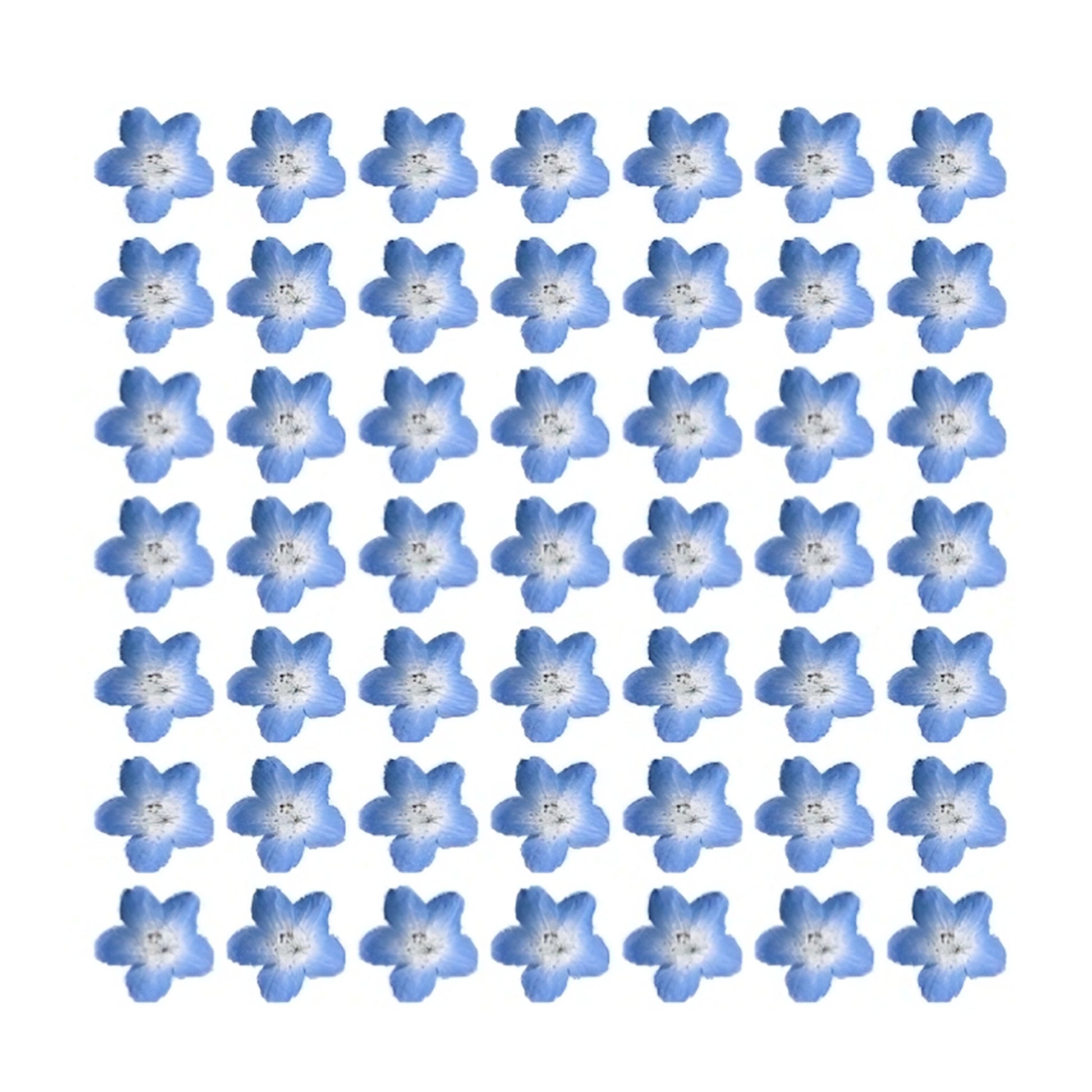 Pretty blue mini flowers forget me nots bluebells Flower edible wafer icing cake cupcake 