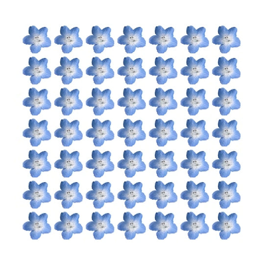 Pretty blue mini flowers forget me nots bluebells Flower edible wafer icing cake cupcake 