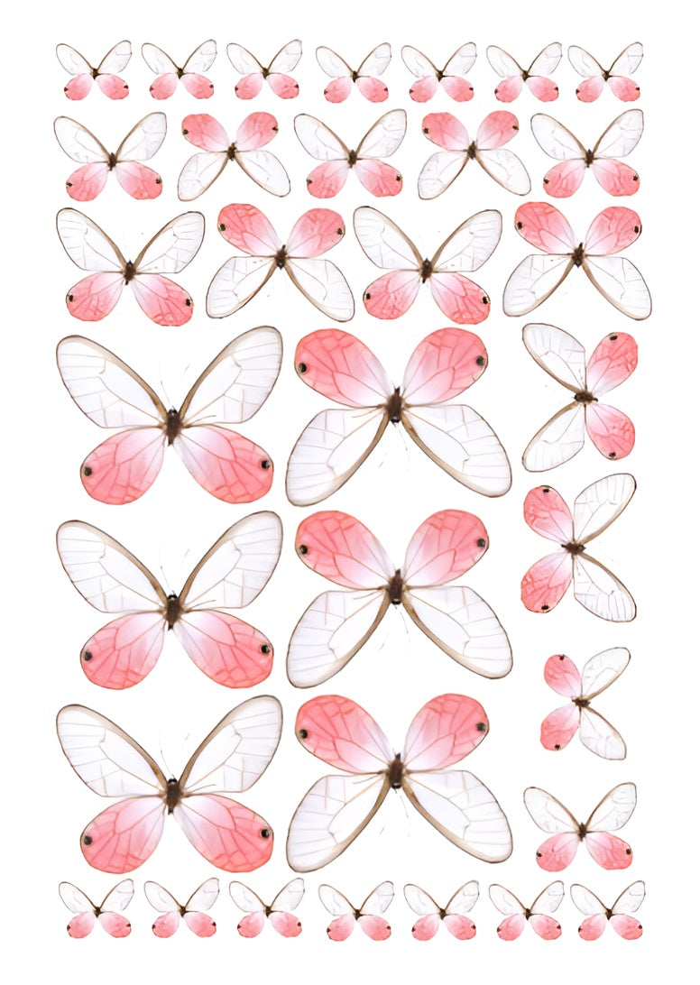 Wafer Blush Butterflies