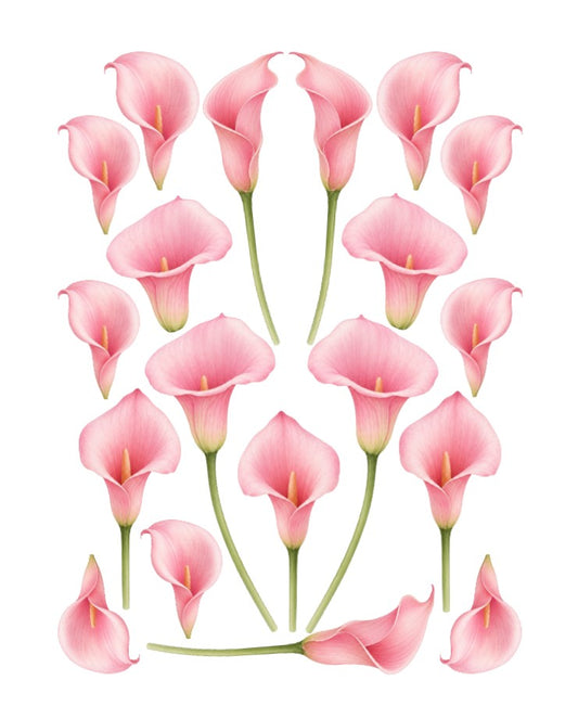 Pretty pink Calla Lily Peace Lily Flowers edible wafer or icing cake cupcake romantic 