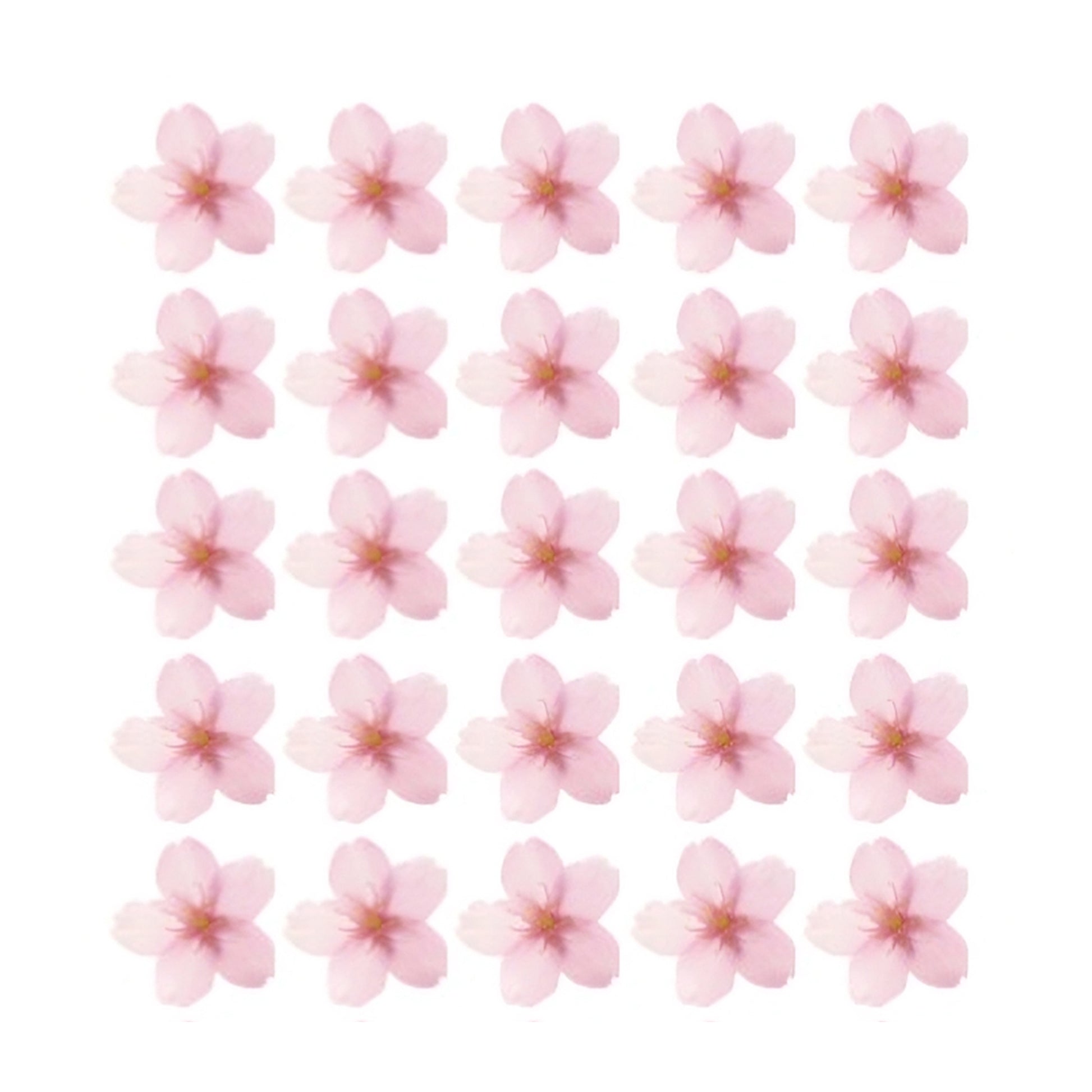 Pretty pink cherry blossoms Flowers edible wafer or icing cake cupcake japan spring