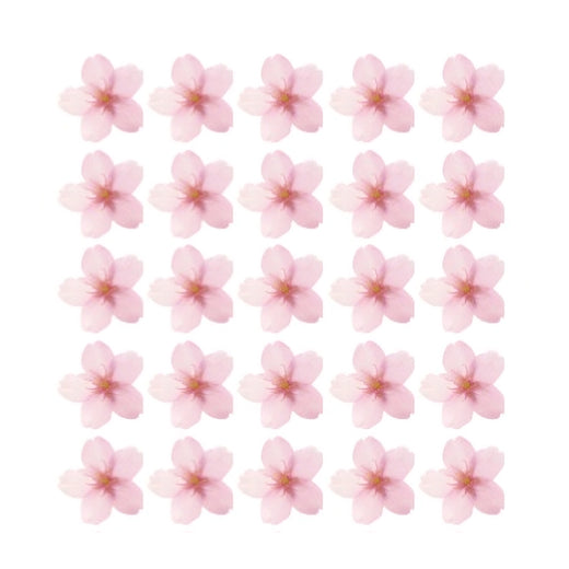 Cherry Blossom Flowers
