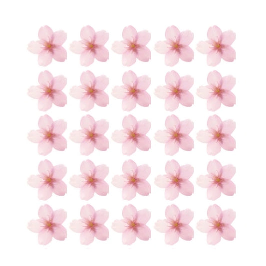Pretty pink cherry blossoms Flowers edible wafer or icing cake cupcake japan spring