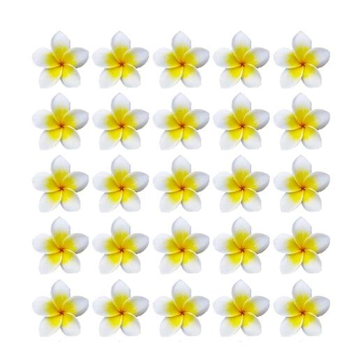 Frangipani Flowers