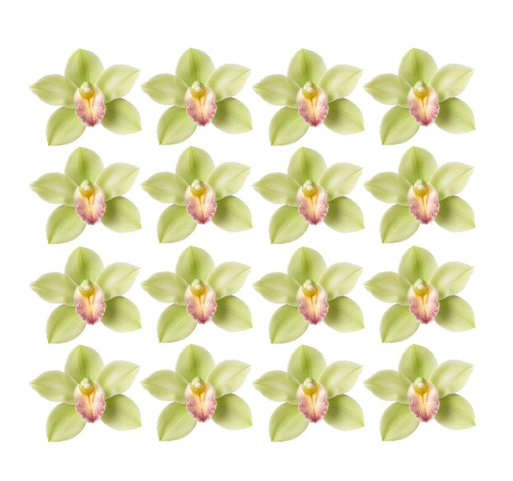 Exotic tropical green Granny Smith cymbidium Orchid Flowers edible wafer or icing cake cupcake Birthdays Garden partys