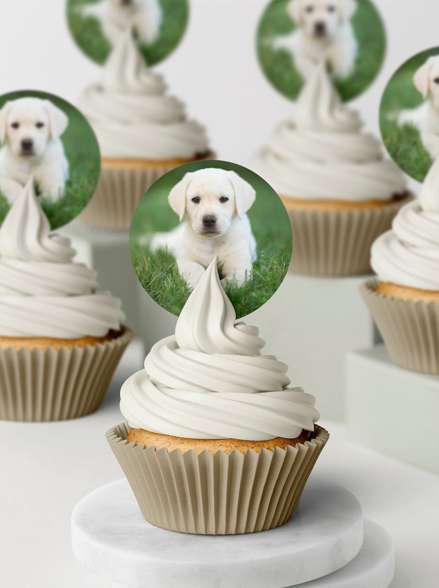 Labrador Puppy Cupcake & Cookie Toppers