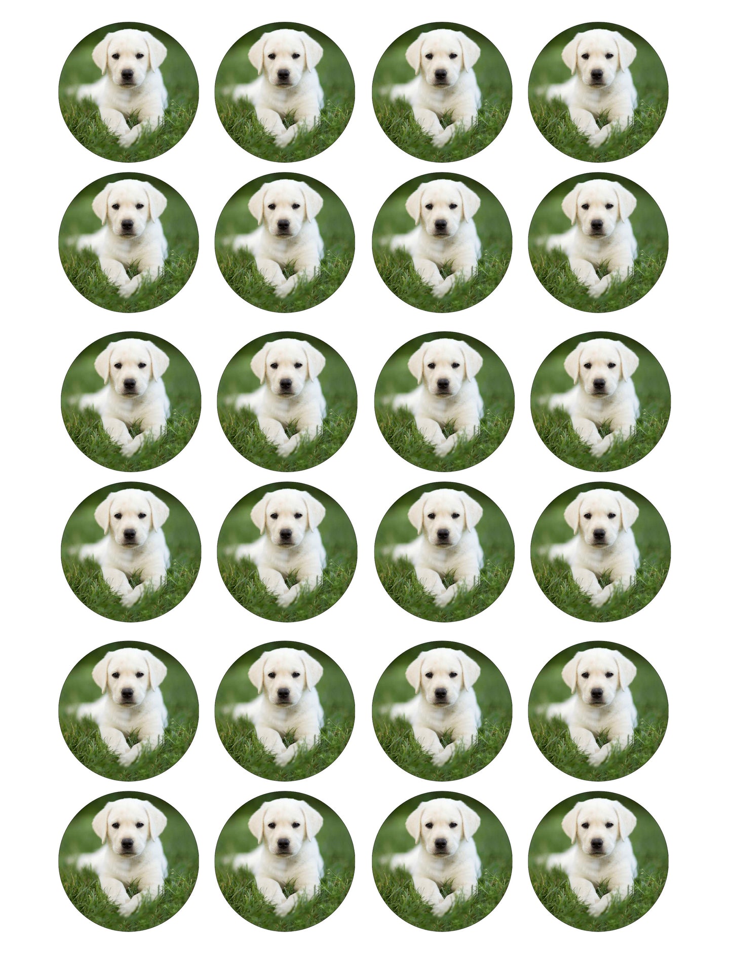 Labrador Puppy Cupcake & Cookie Toppers