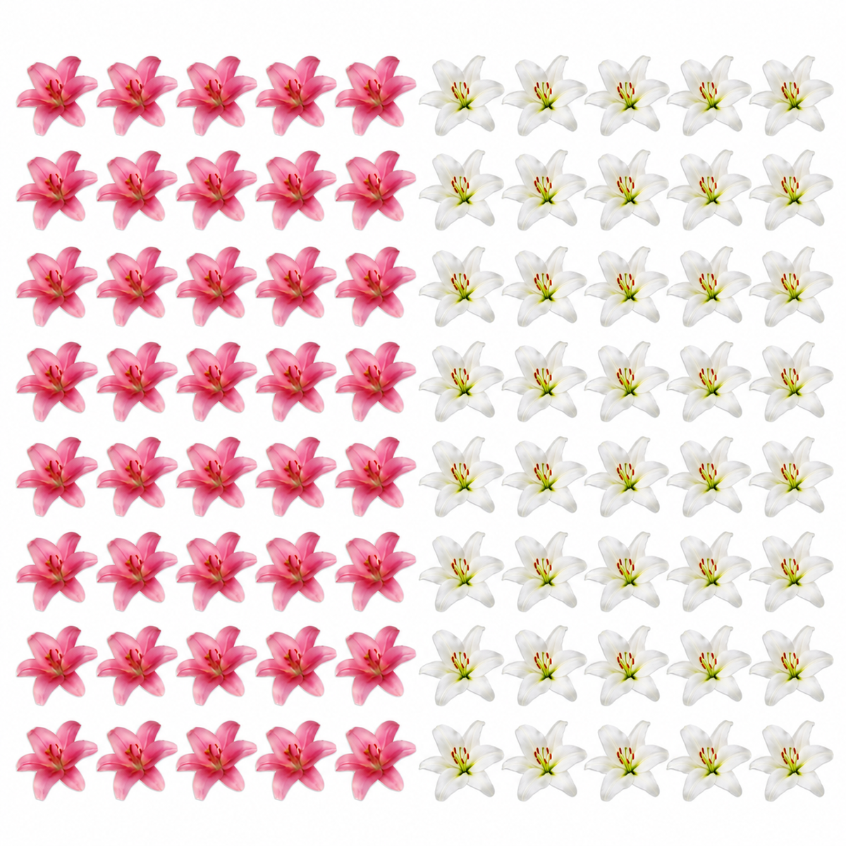 Pink and white lily edible flower set: forty 3cm flowers of each design.