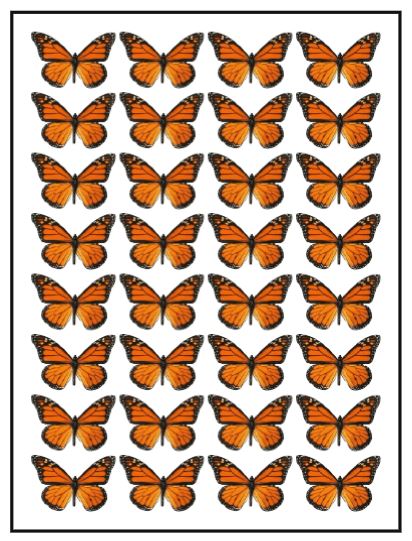 Orange Monarch Wafer Butterflies