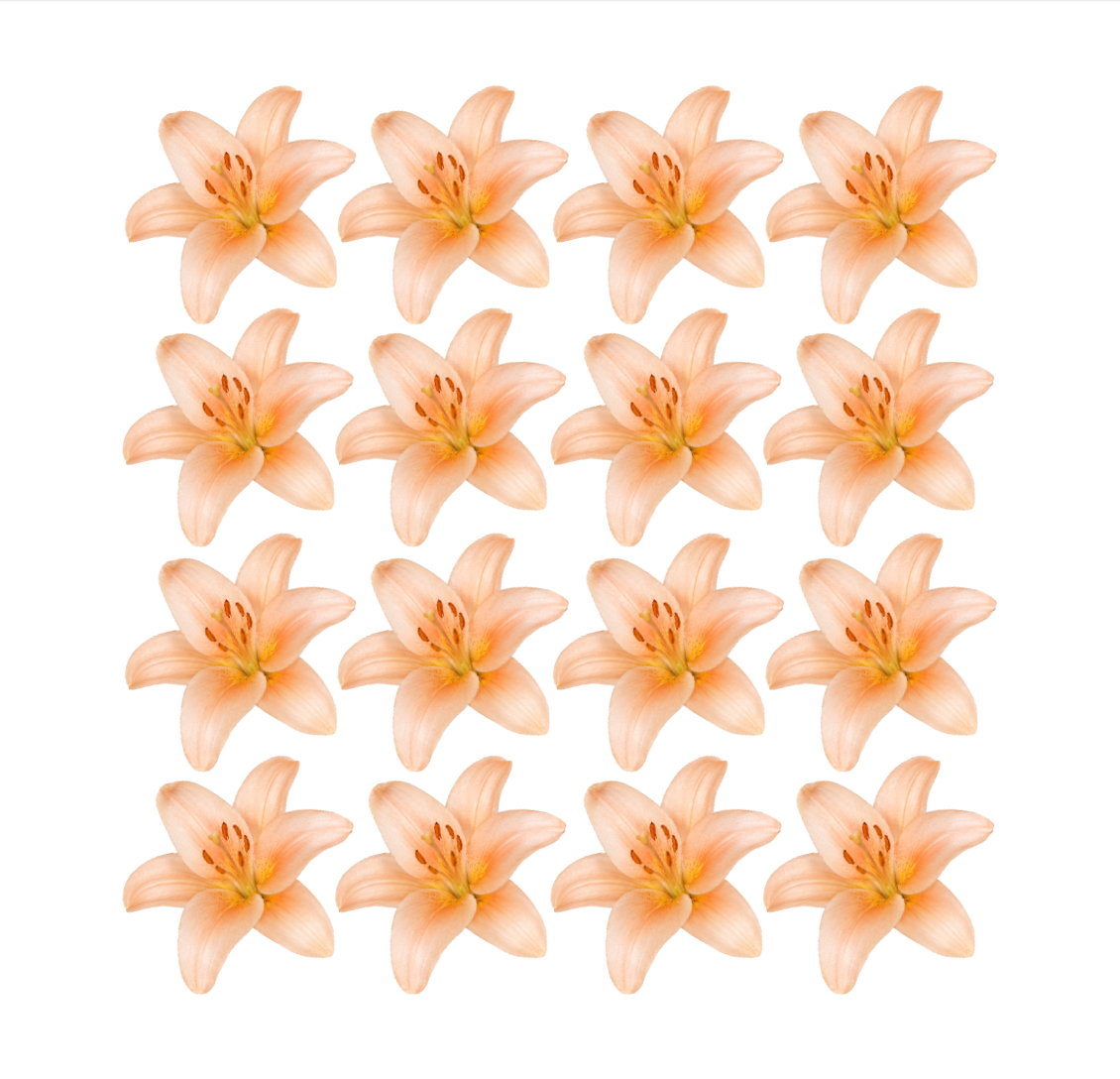 Pretty tropical yellow Lily Flower edible wafer or icing cake cupcake hawaii luau beach Garden party wedding