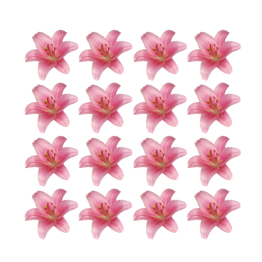 Pretty pink Lily Flowers edible wafer or icing cake cupcake 