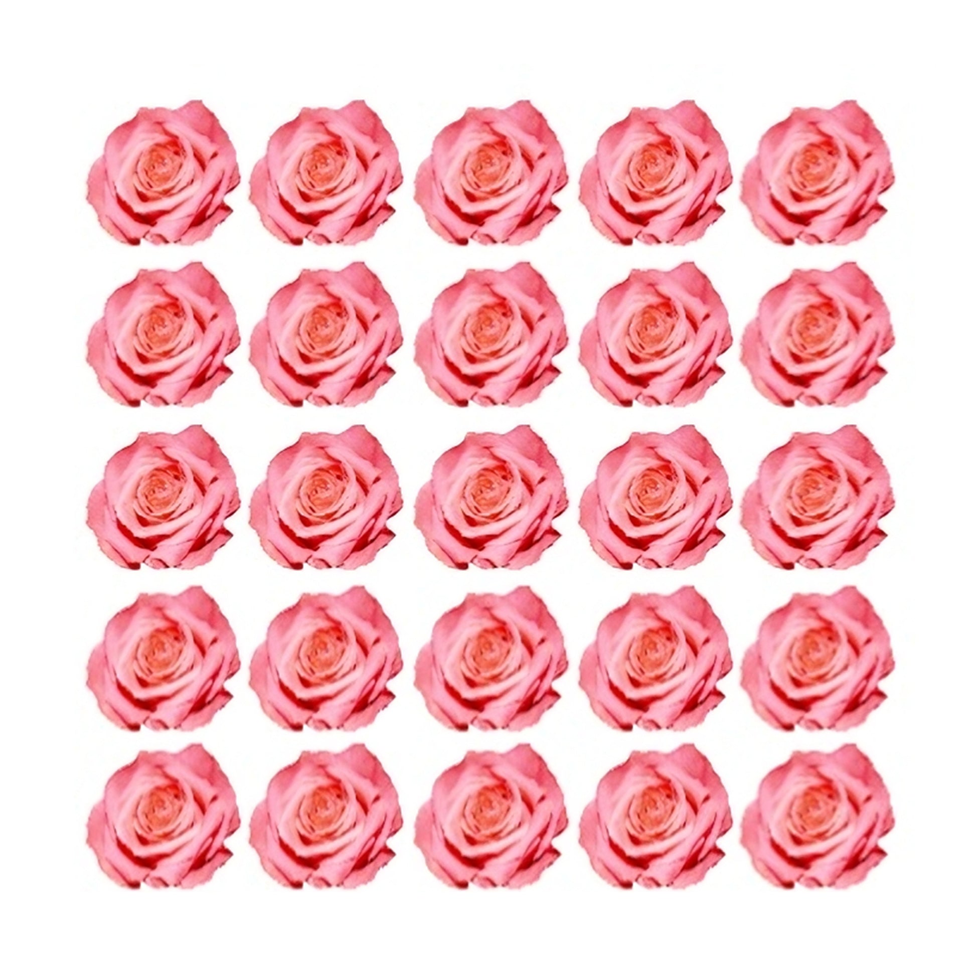 Pretty pink roses Flowers edible wafer or icing cake cupcake valentines