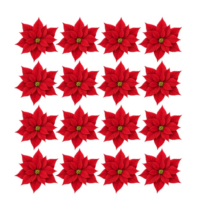 Edible wafer or icing red Poinsettia Christmas Flowers Cake topper decorations