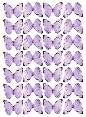 Purple Wafer Butterflies